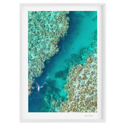 Shared Current