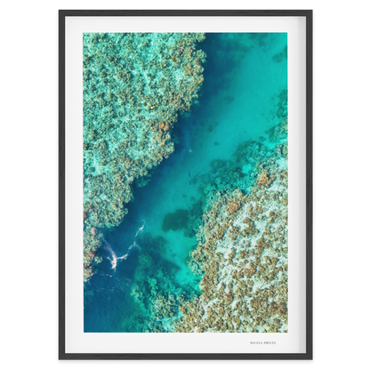 Shared Current