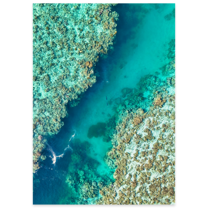 Shared Current