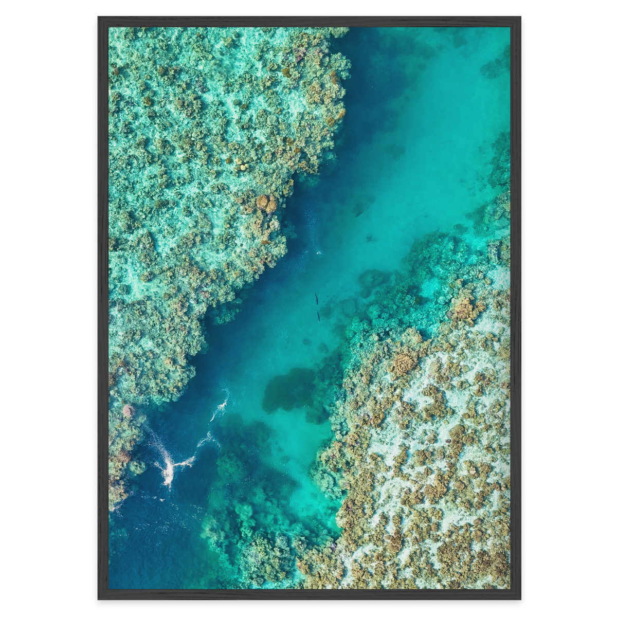 Shared Current