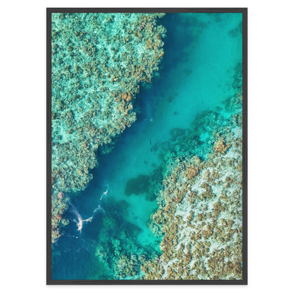 Shared Current