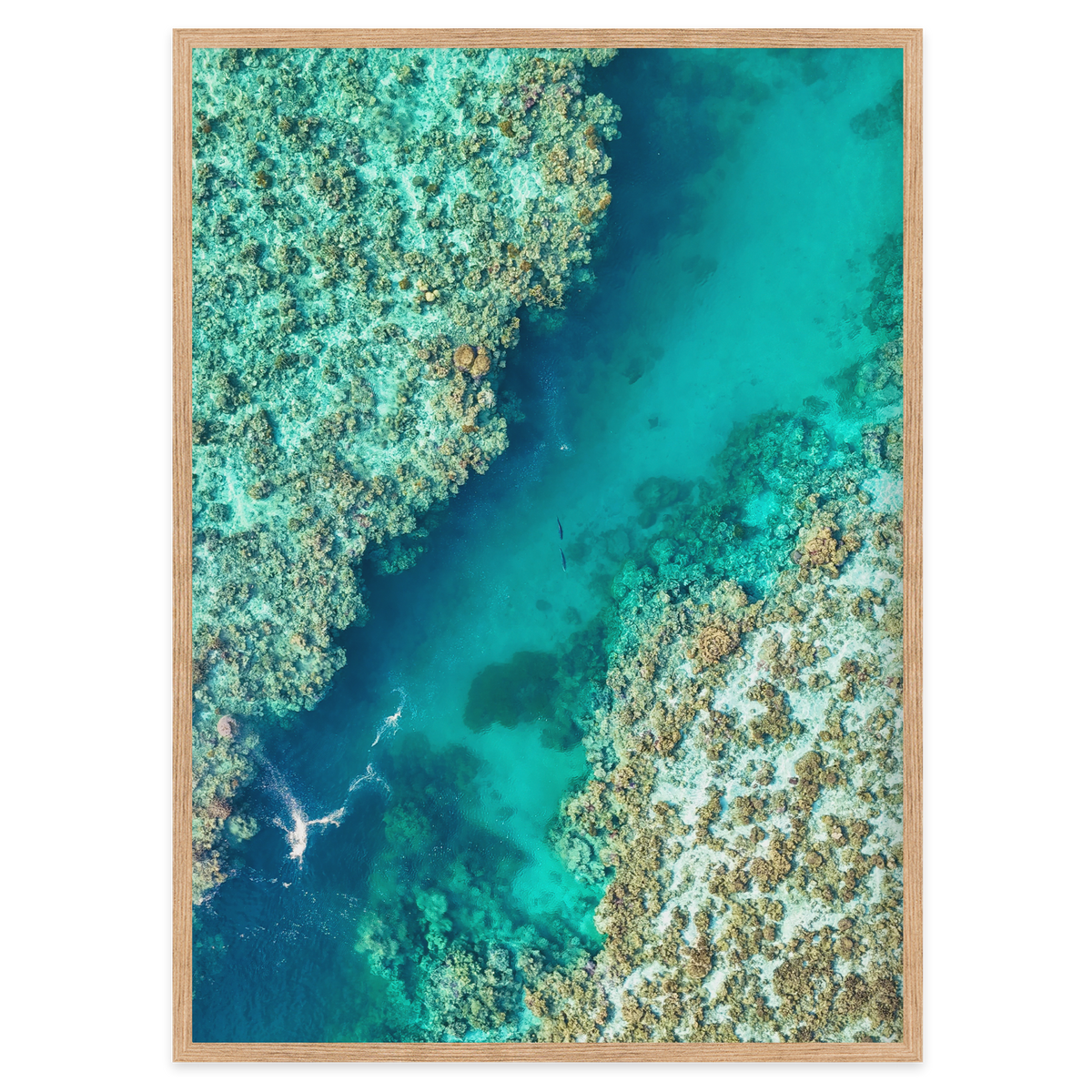 Shared Current