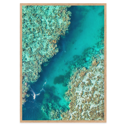 Shared Current