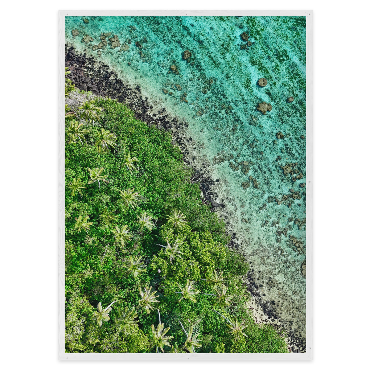 Ta’akoka Canopy