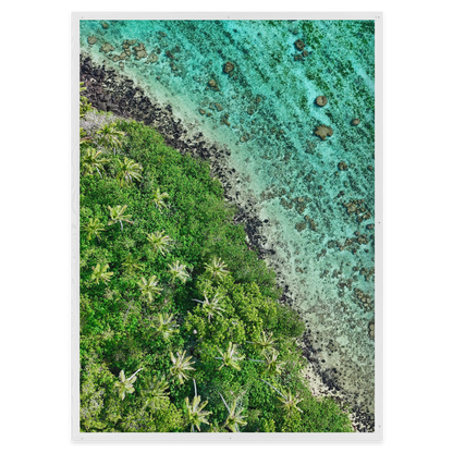 Ta’akoka Canopy