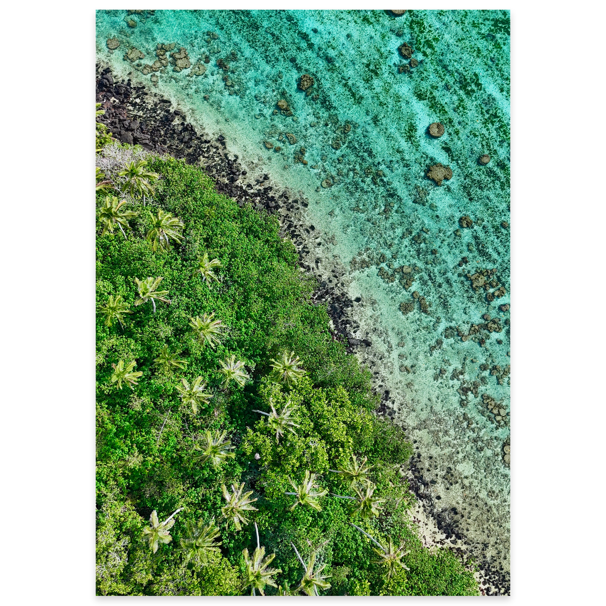 Ta’akoka Canopy