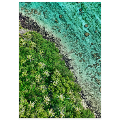 Ta’akoka Canopy