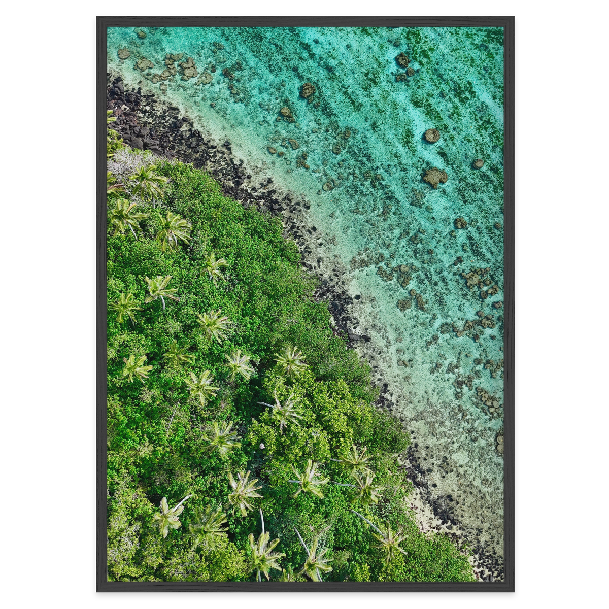 Ta’akoka Canopy