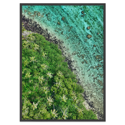 Ta’akoka Canopy