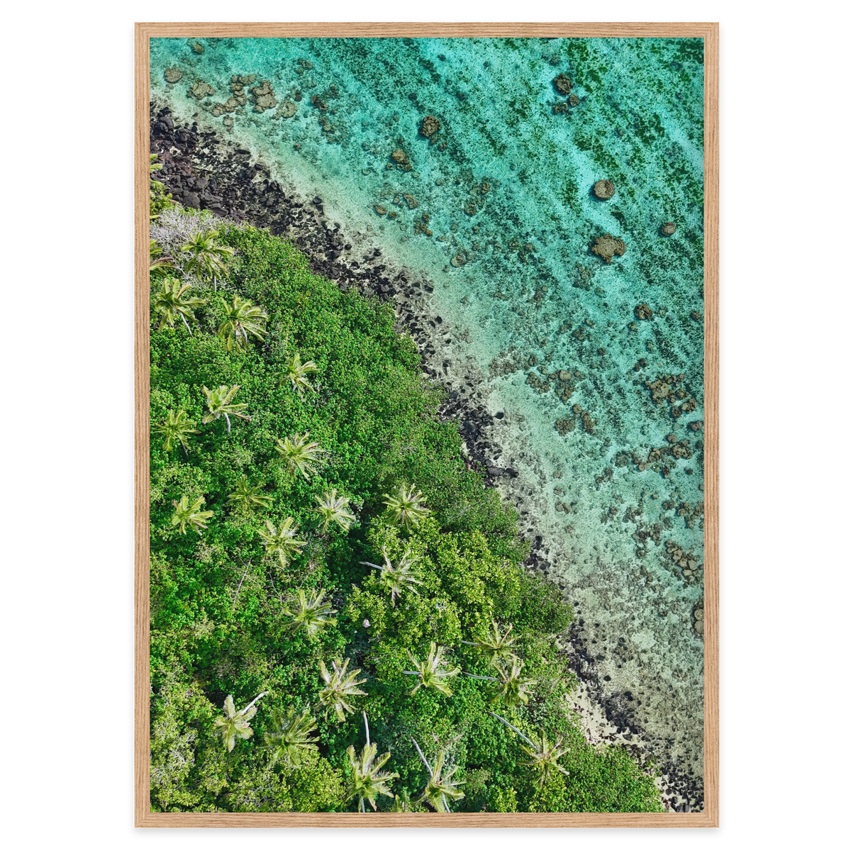Ta’akoka Canopy