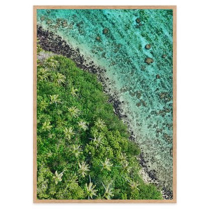Ta’akoka Canopy