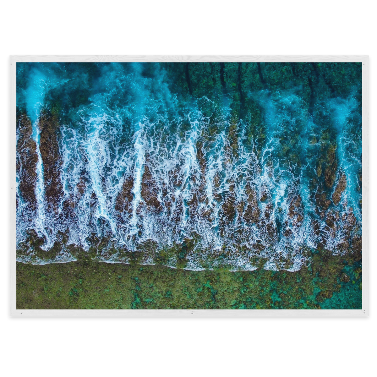 Te Taitua Moana