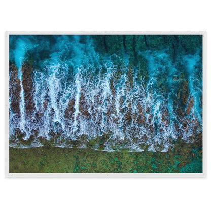 Te Taitua Moana