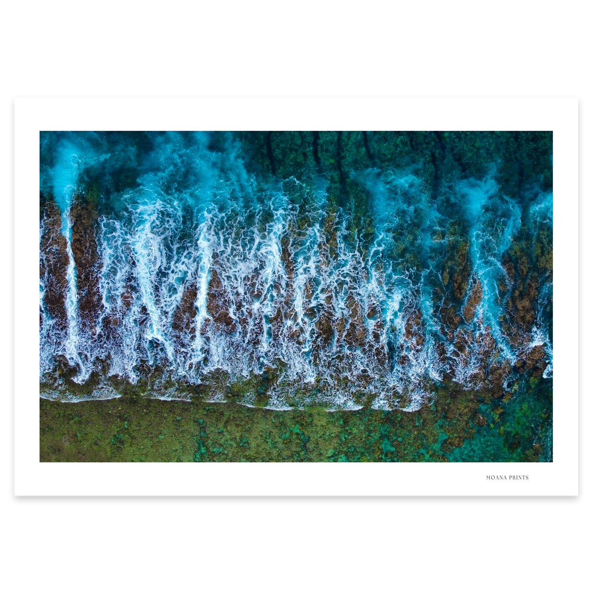 Te Taitua Moana