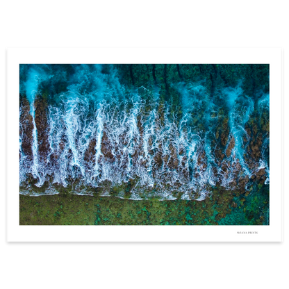 Te Taitua Moana