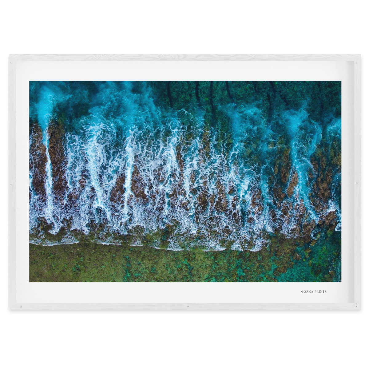 Te Taitua Moana