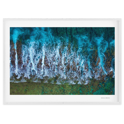 Te Taitua Moana