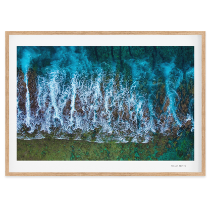 Te Taitua Moana