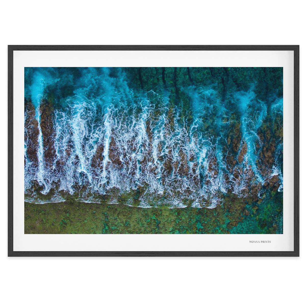 Te Taitua Moana