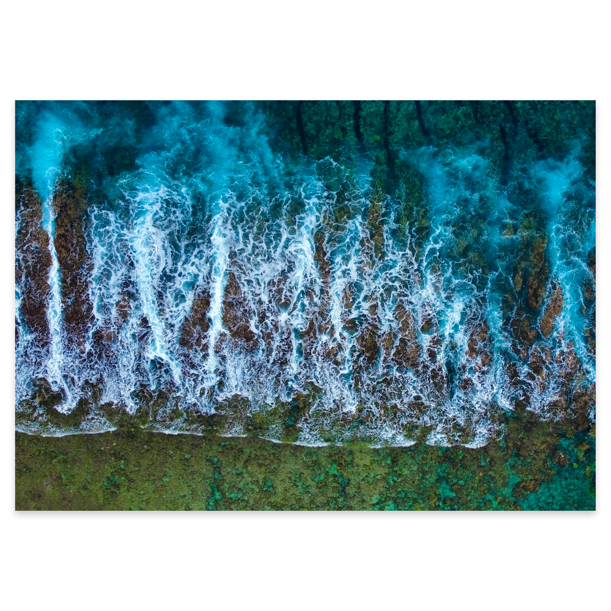 Te Taitua Moana