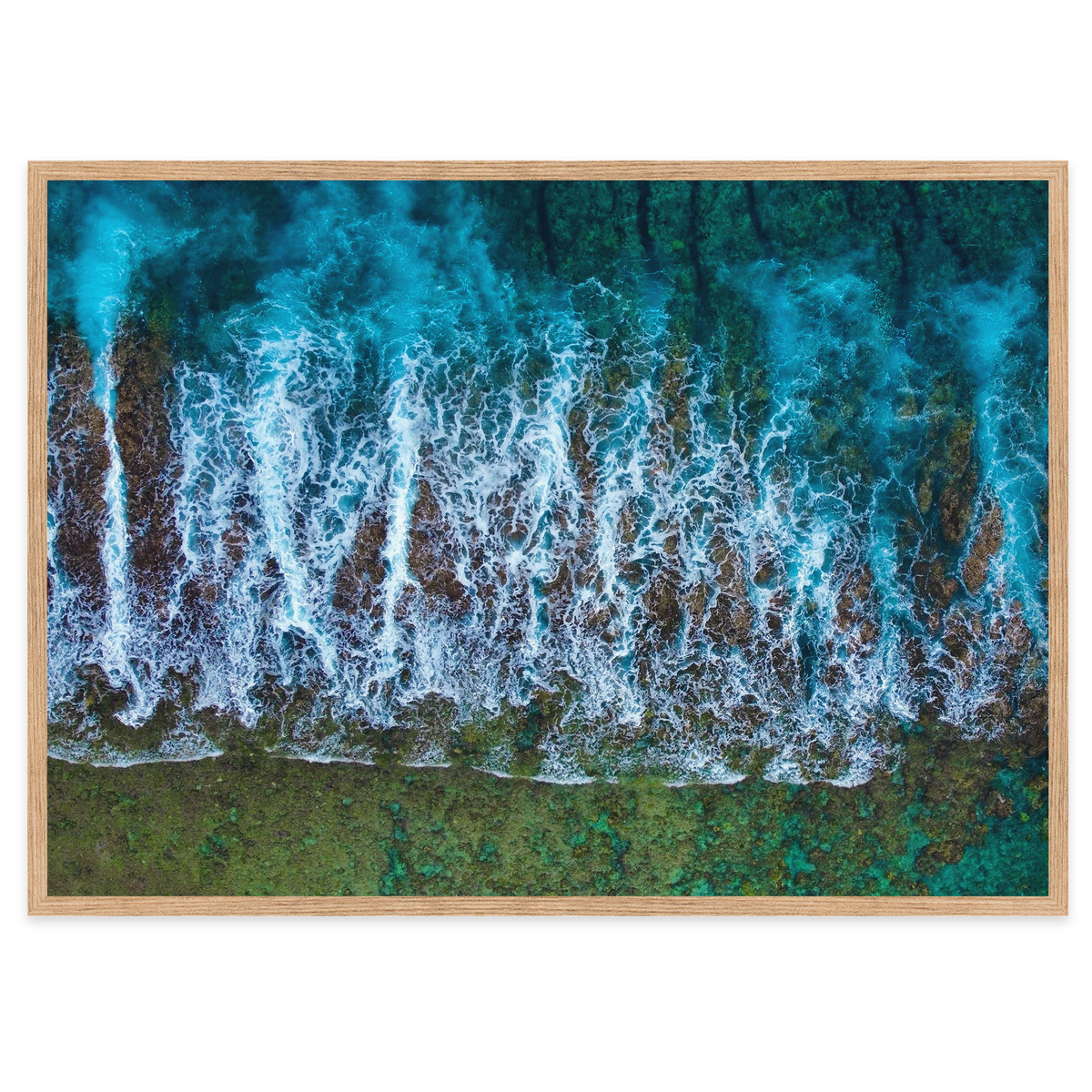 Te Taitua Moana