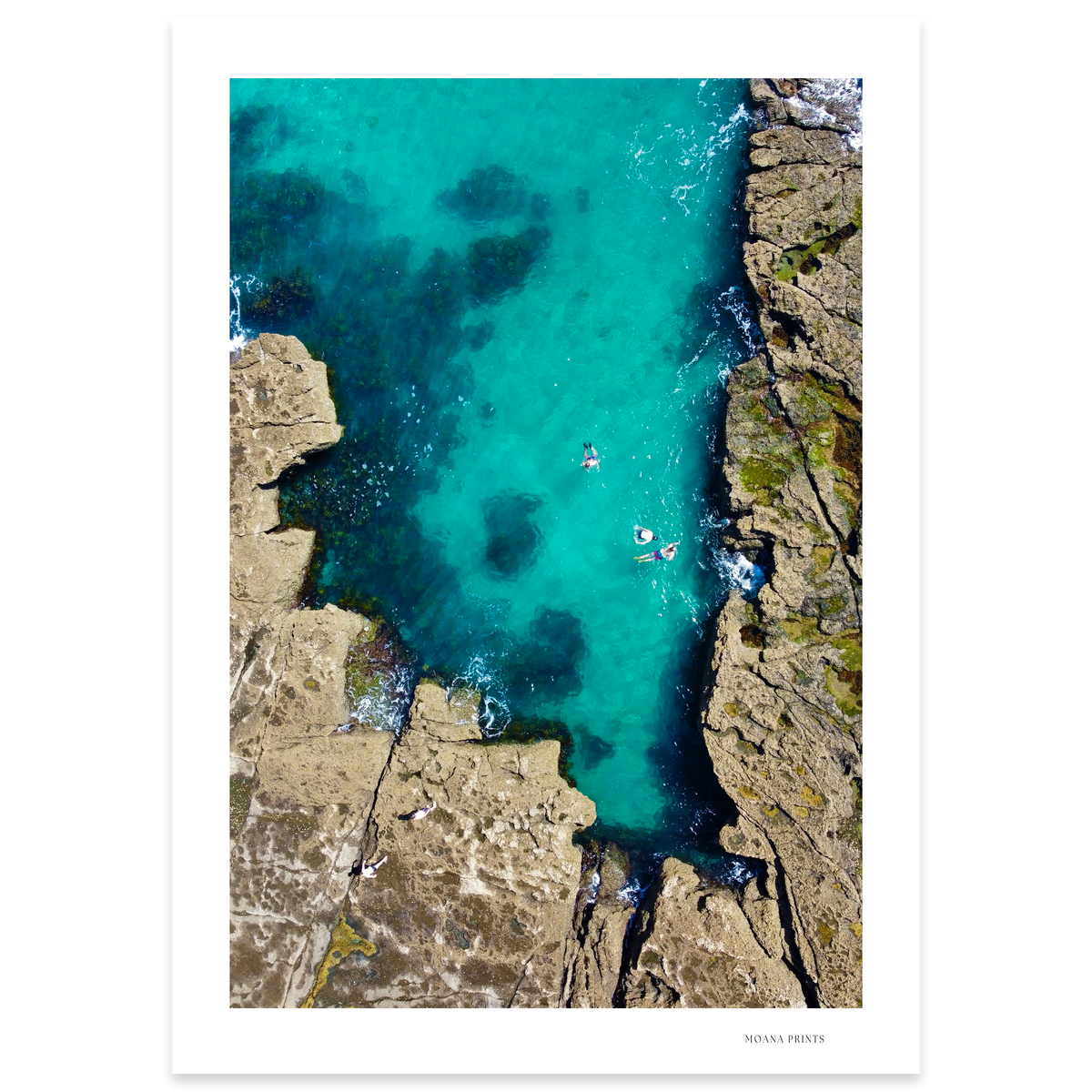 Tidal Thrill