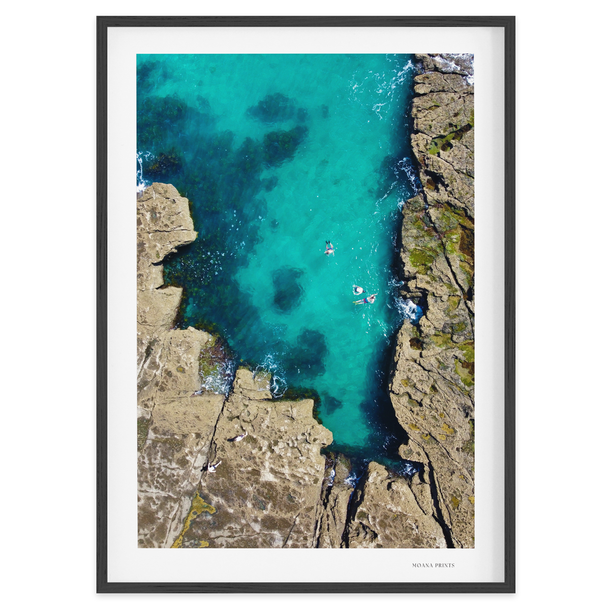 Tidal Thrill