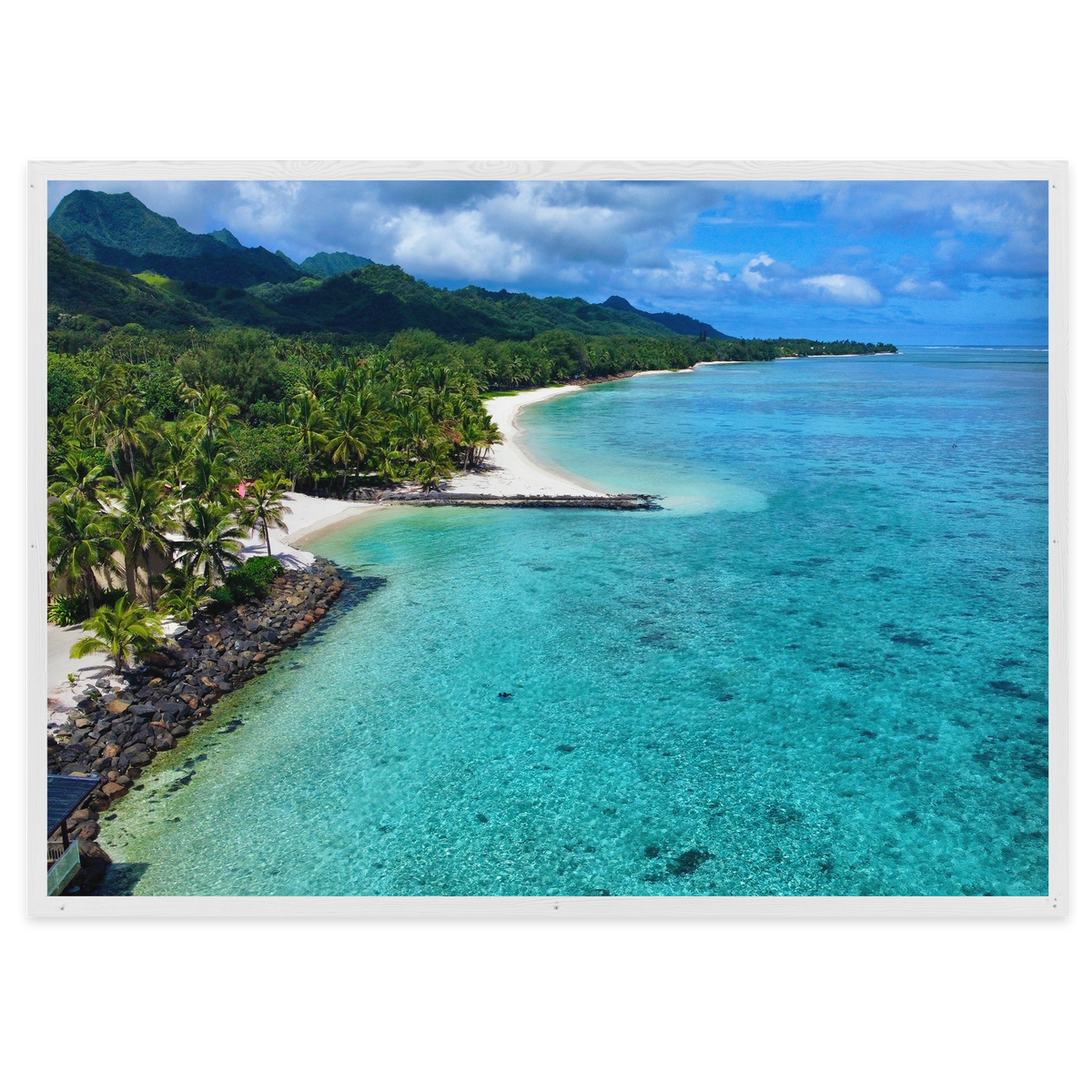 Tropical Haven