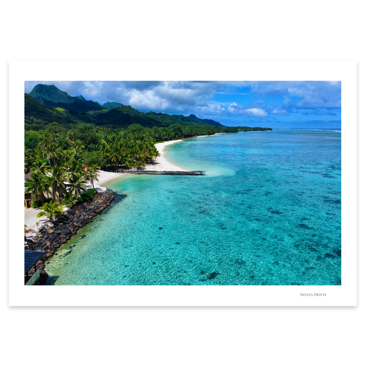 Tropical Haven