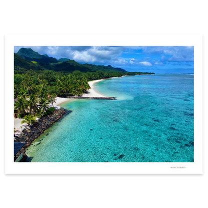 Tropical Haven