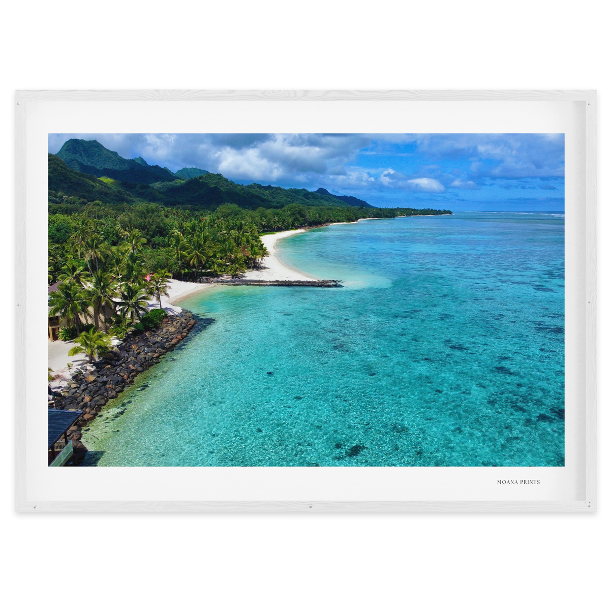 Tropical Haven