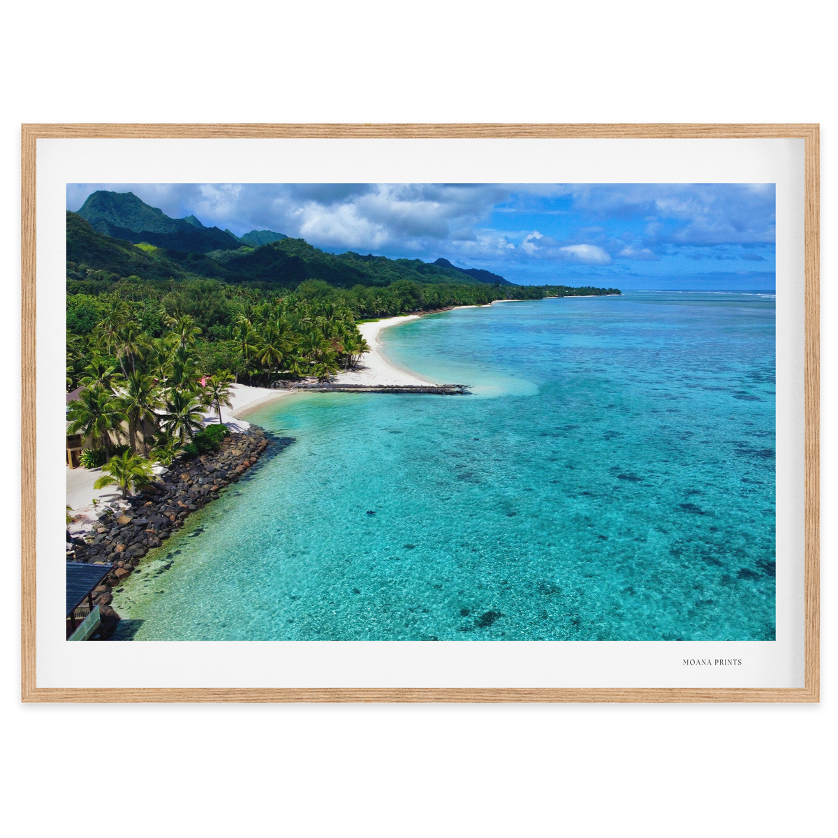 Tropical Haven