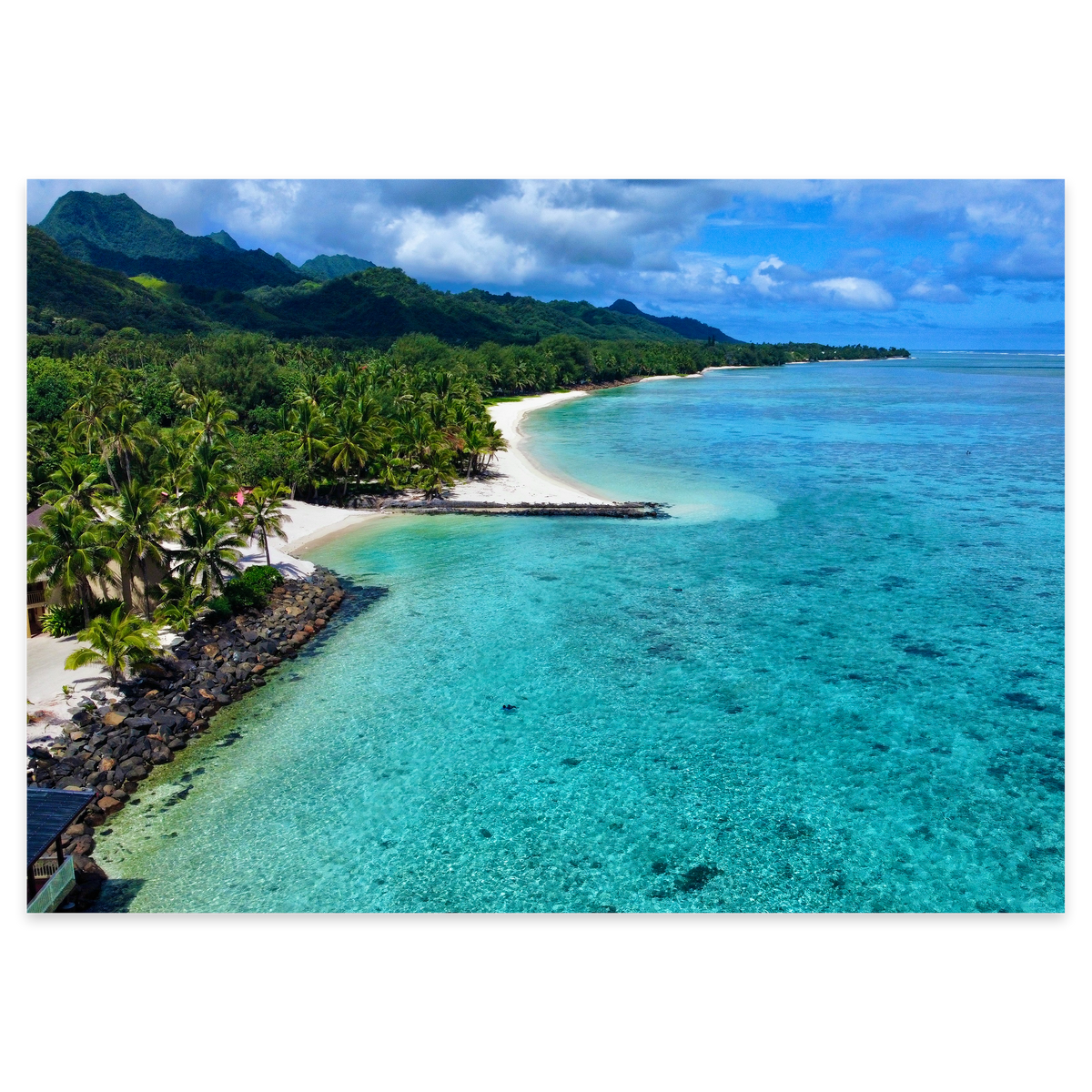 Tropical Haven