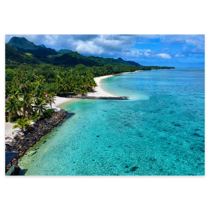 Tropical Haven