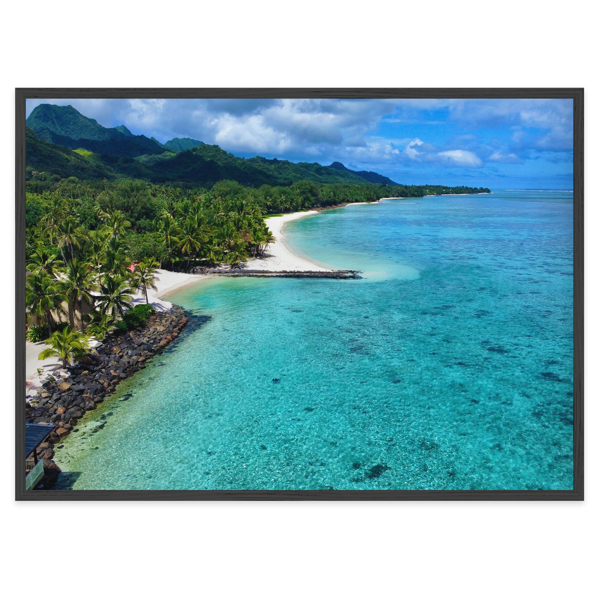 Tropical Haven