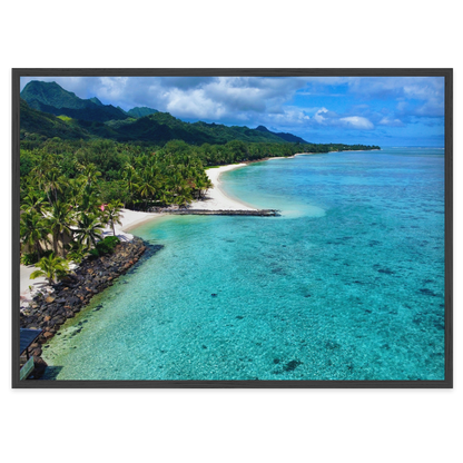Tropical Haven