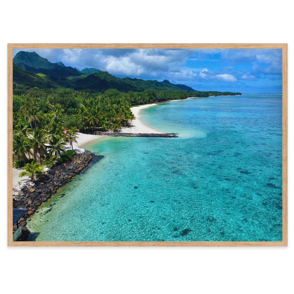 Tropical Haven