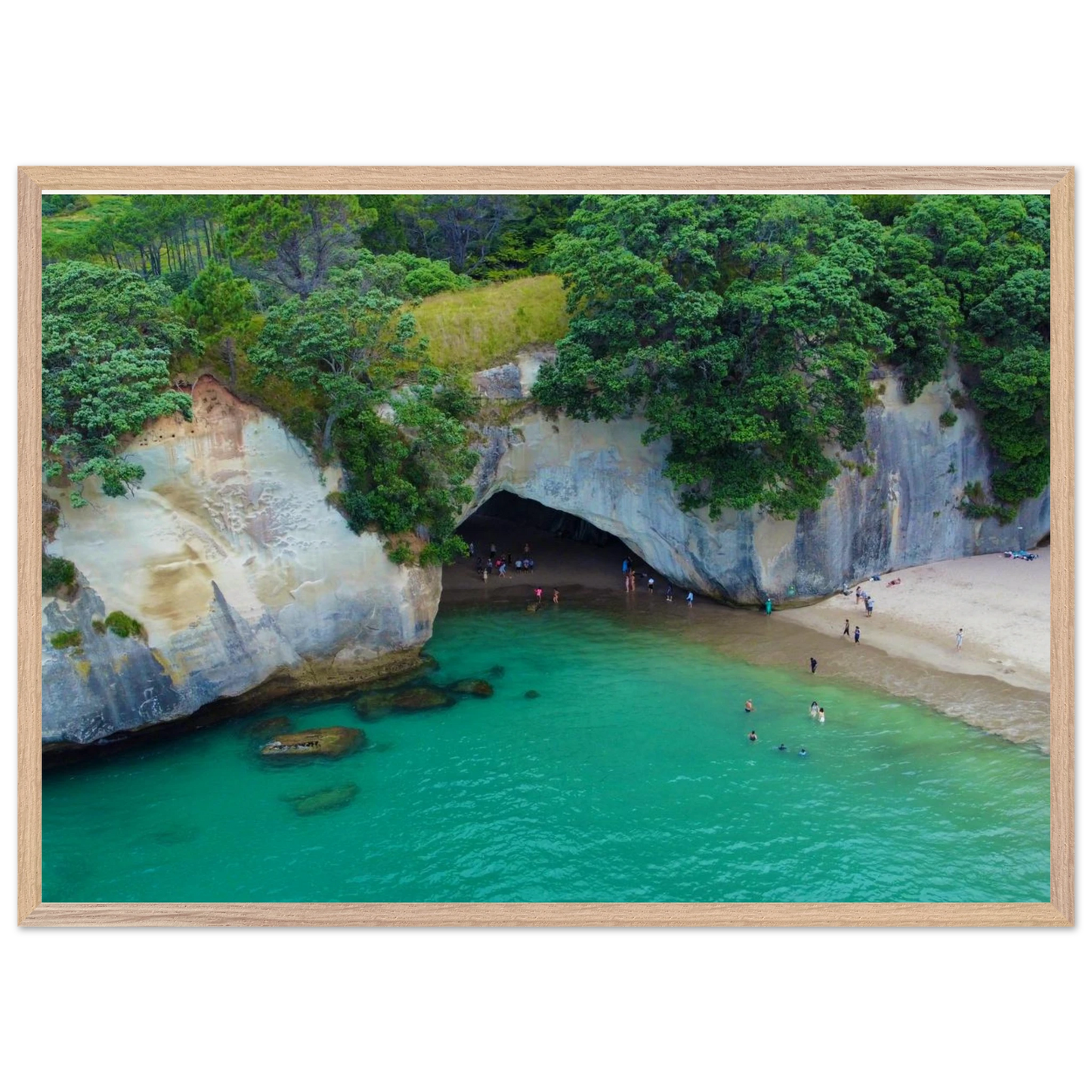 a582090b-9c91-4cc0-946e-6b7cf6a96ffc