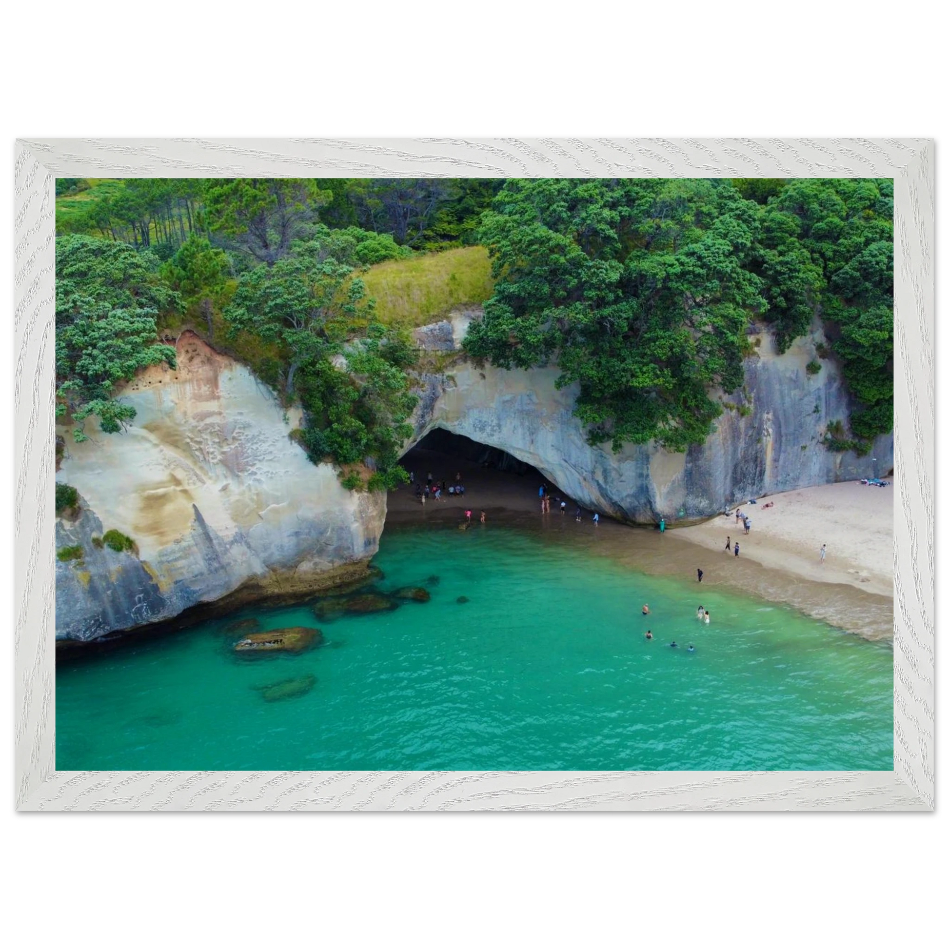 aeafa007-9f4e-46e5-adf6-19c8a80437ac