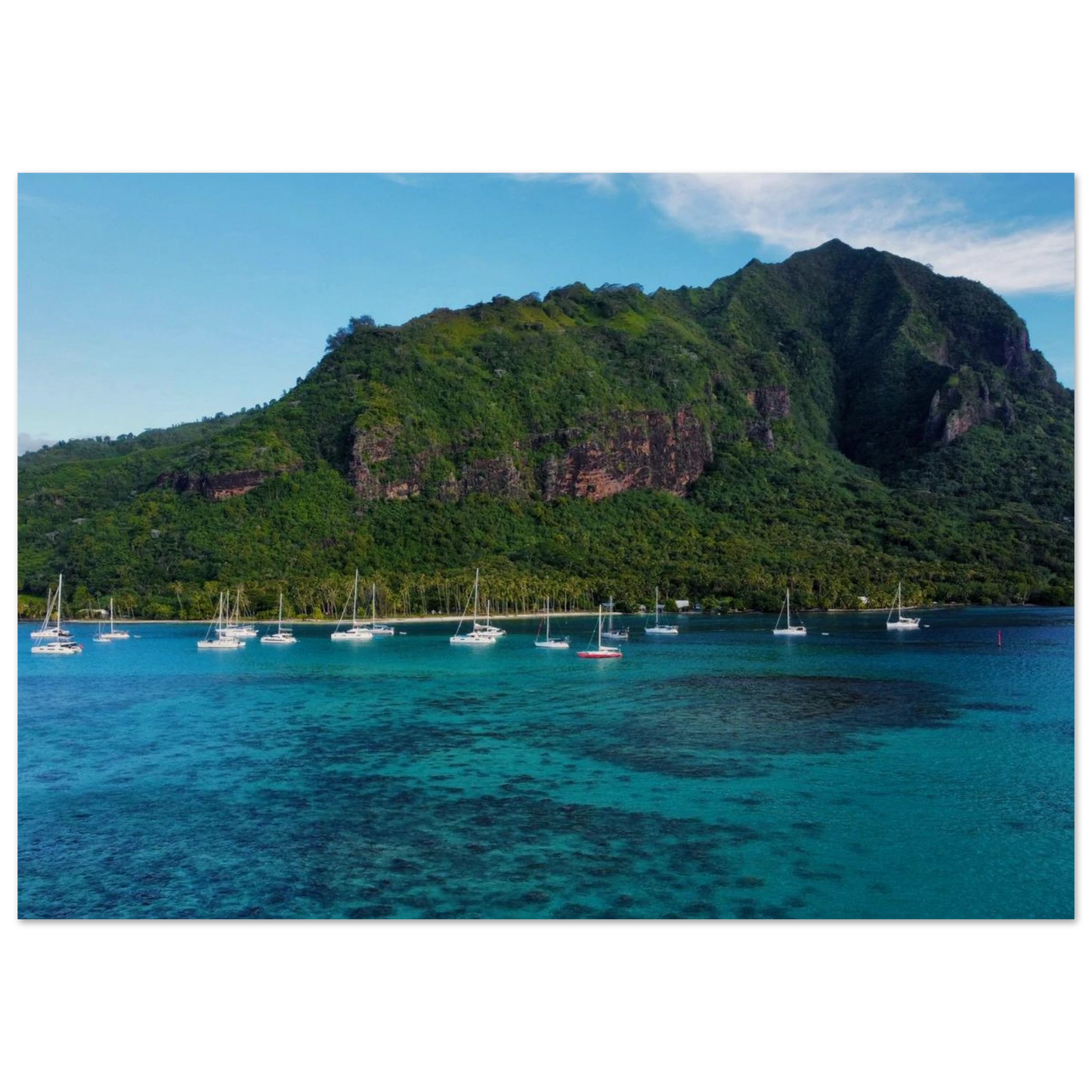 b885ff9c-afd9-4f4d-9ca3-e05423b12f69