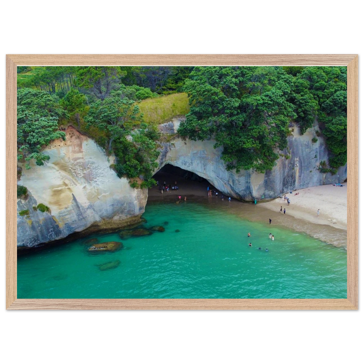 bacb66a6-c0d8-4f0b-b2a7-2ceed2521e7b