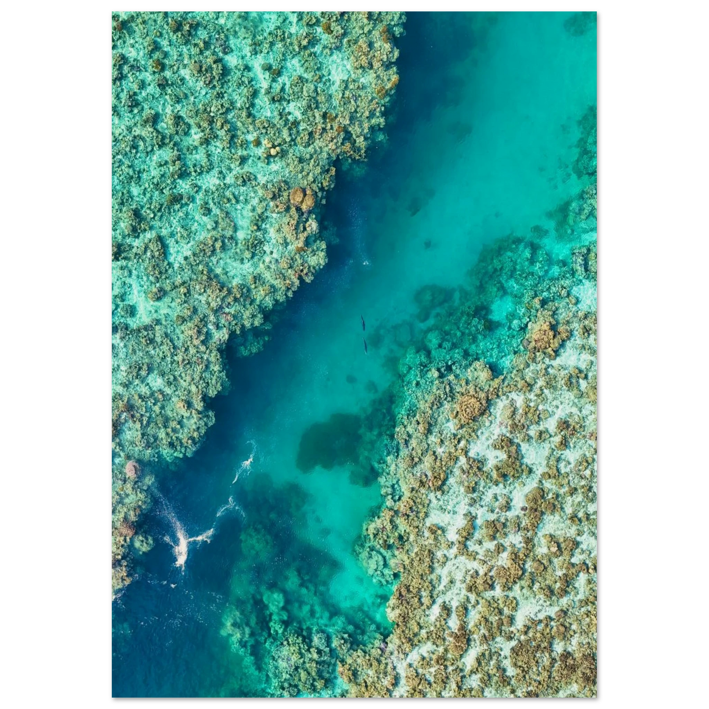 e068d513-e9ab-40f4-ab12-df6581a351cb