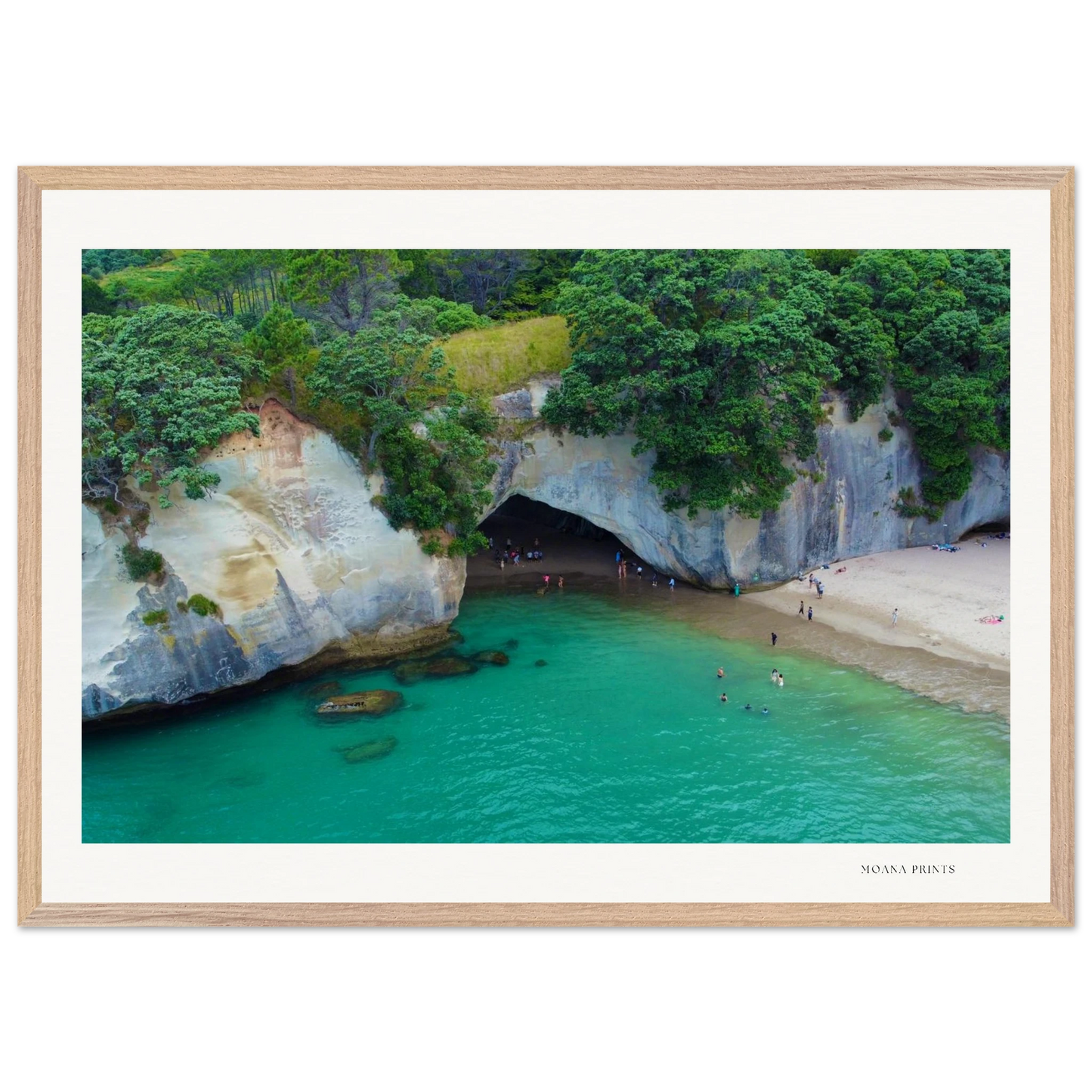 ee251f31-1dcd-450b-aea4-02e8b3c12873