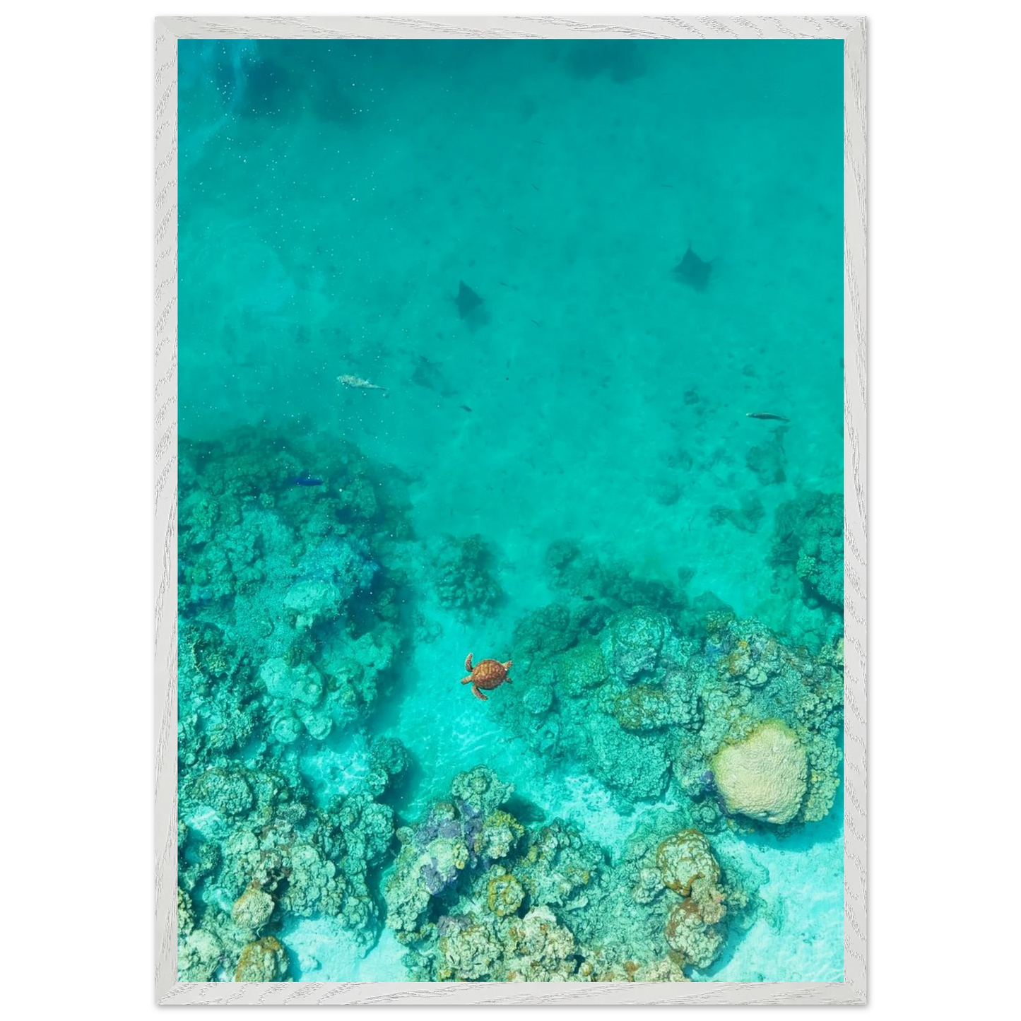 faa60723-a60b-4ab4-86f7-b7310ac84f0c